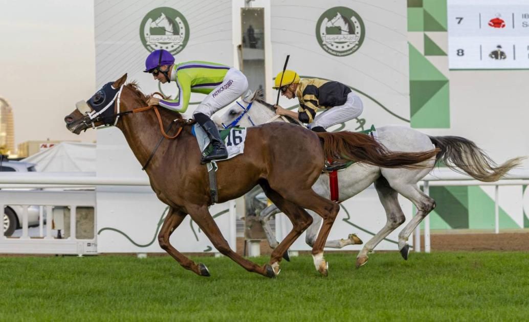 ختام موسم سباقات مضمار أبوظبي اليوم