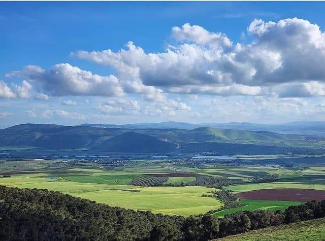 سهل مرج ابن عامر.. سلة غذاء فلسطين وسرها الخلاب (صور)