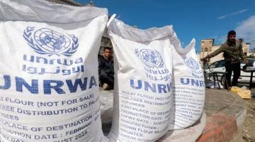 نداء عاجل من الجارديان بشأن المجاعة في غزة