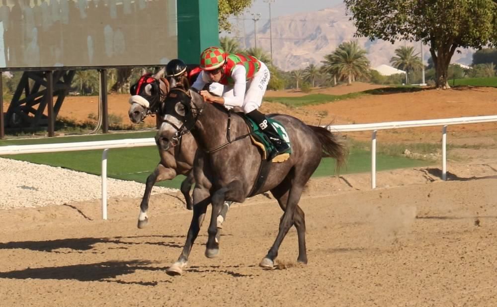 ثنائية لخيول ياس في ختام موسم السباقات بمضمار العين
