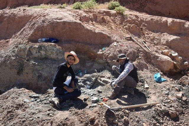 اكتشاف نوع جديد من الديناصورات في المغرب (صور)