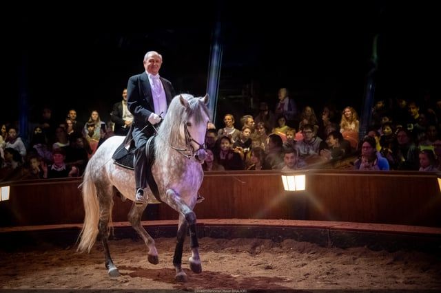 رحيل عميد سيرك الفروسية أليكسي غروس (صور)