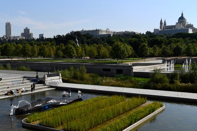 مدريد.. جوهرة أوروبية شيدها العرب لدواع عسكرية (صور)