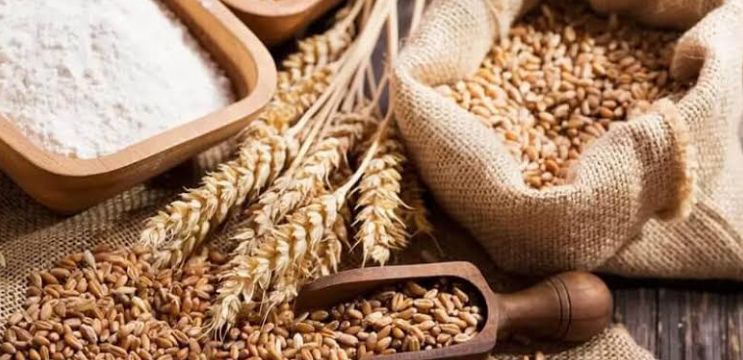 متى تبدأ صلاة العيد في الطائف؟ موعد صلاة العيد في الطائف وآخر وقت لإخراج زكاة الفطر - موقع الخليج الان