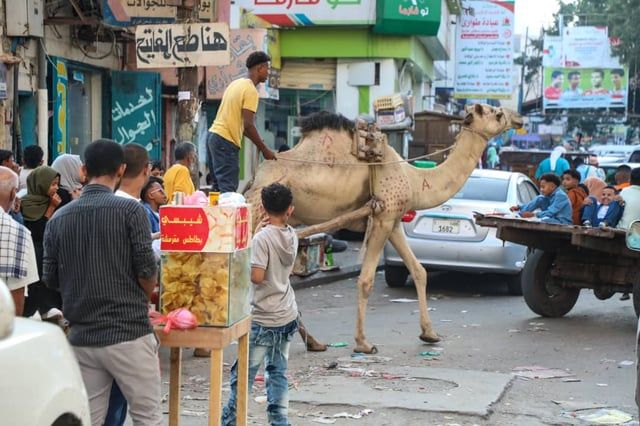 عادات وطقوس مختلفة.. كيف يقضي اليمنيون عيدهم؟ (صور)