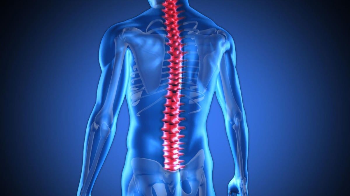 علماء: للنخاع الشوكي القدرة على تكوين ذكرياته بمعزل عن الدماغ