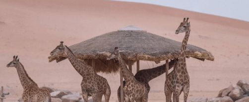 لا تفوّت زيارتها... أفضل حدائق السعودية الترفيهية للعوائل والأطفال - موقع الخليج الان