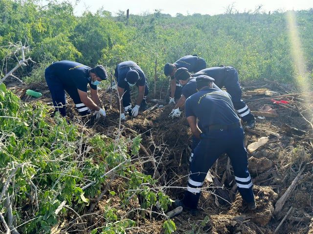 عُمان.. العثور على جثتين في سيول منخفض المطير (صور)