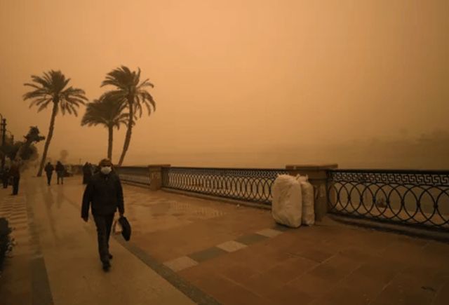 رياح محملة بالذباب والغبار.. مصر تحذّر من موجة خماسينية (صور)