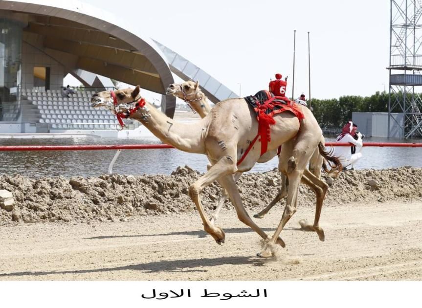 «ريماس» تحلق بكأس الإيذاع في ختامي الوثبة