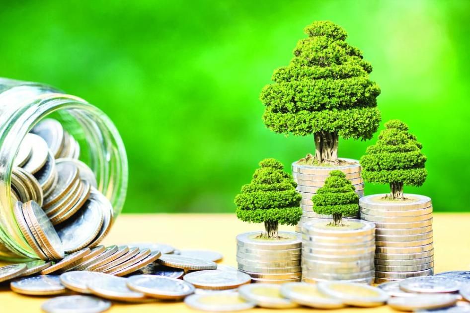 «النقد العربي»: 30 مليار دولار حجم سوق التأمين التكافلي عالمياً 2023