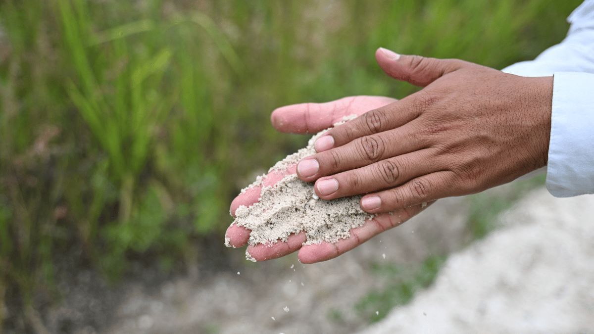 فوائد صحية لـ "ميكروبات التربة" وتوصية بإدراجها ضمن النظام الغذائي