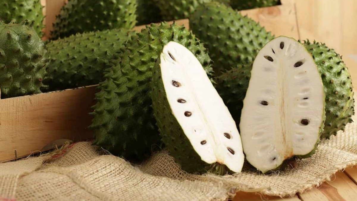 تعرّف على فوائد فاكهة "القشطة الشائكة"