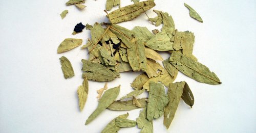 شاهد .. "اكتشفوا سرّ عشبة جبارة لتنظيف القولون بسرعة وفعالية دون الحاجة للطبيب!"