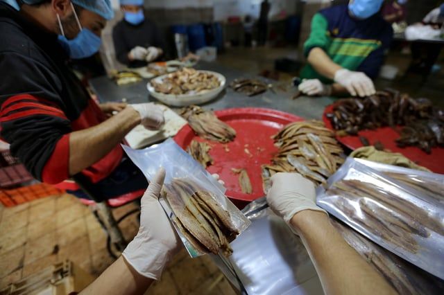 "شم النسيم".. كيف رسم الفراعنة ملامح أقدم عيد شعبي للمصريين؟