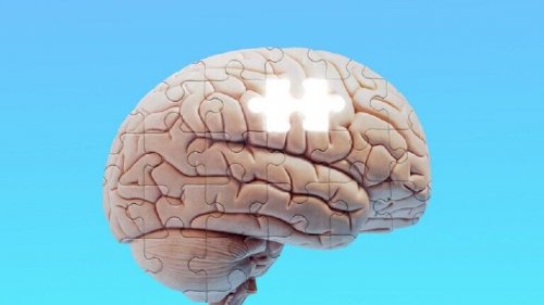 شاهد .. "سرُّ النسيان الذي اختبأ في الأعشاب السحرية.. اكتشف كيف تحوّلت الذاكرة إلى فولاذ في أيام قليلة فقط!"