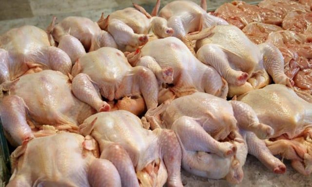 80 ساعة عمل من أجل شراء دجاجة في سوريا