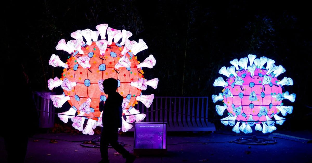 "حمى التيفوس".. مخاوف عالمية من تهديد الأمراض المنقولة