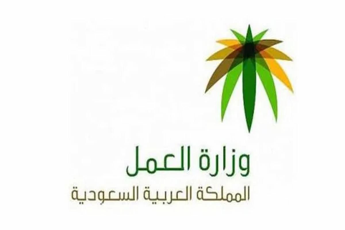 العمل السعودية تكشف خطوات الكشف عن نطاق مؤسسة وهذا رابط الخدمة - موقع الخليج الان