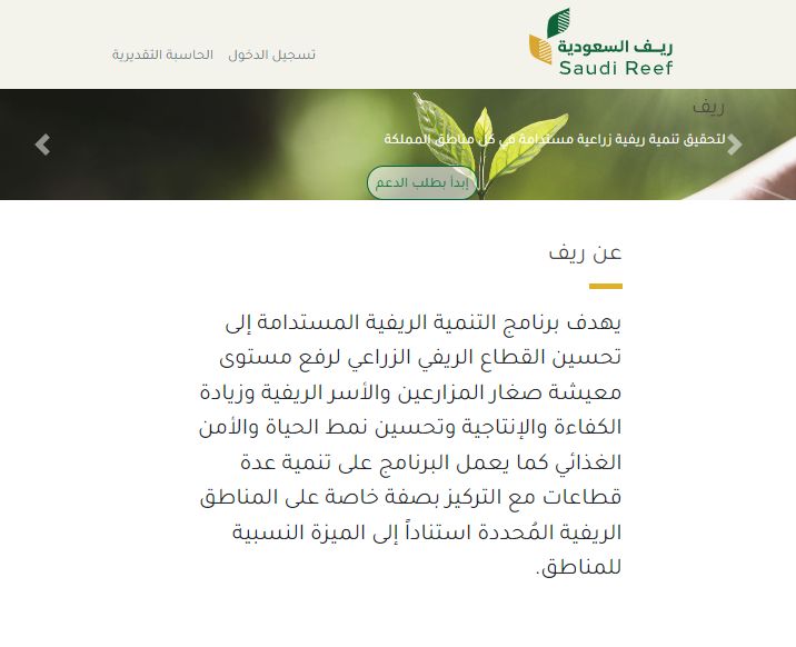 ما هي شروط دعم ريف للمرأة العاطلة؟ التفاصيل كاملة عن البرنامج - موقع الخليج الان