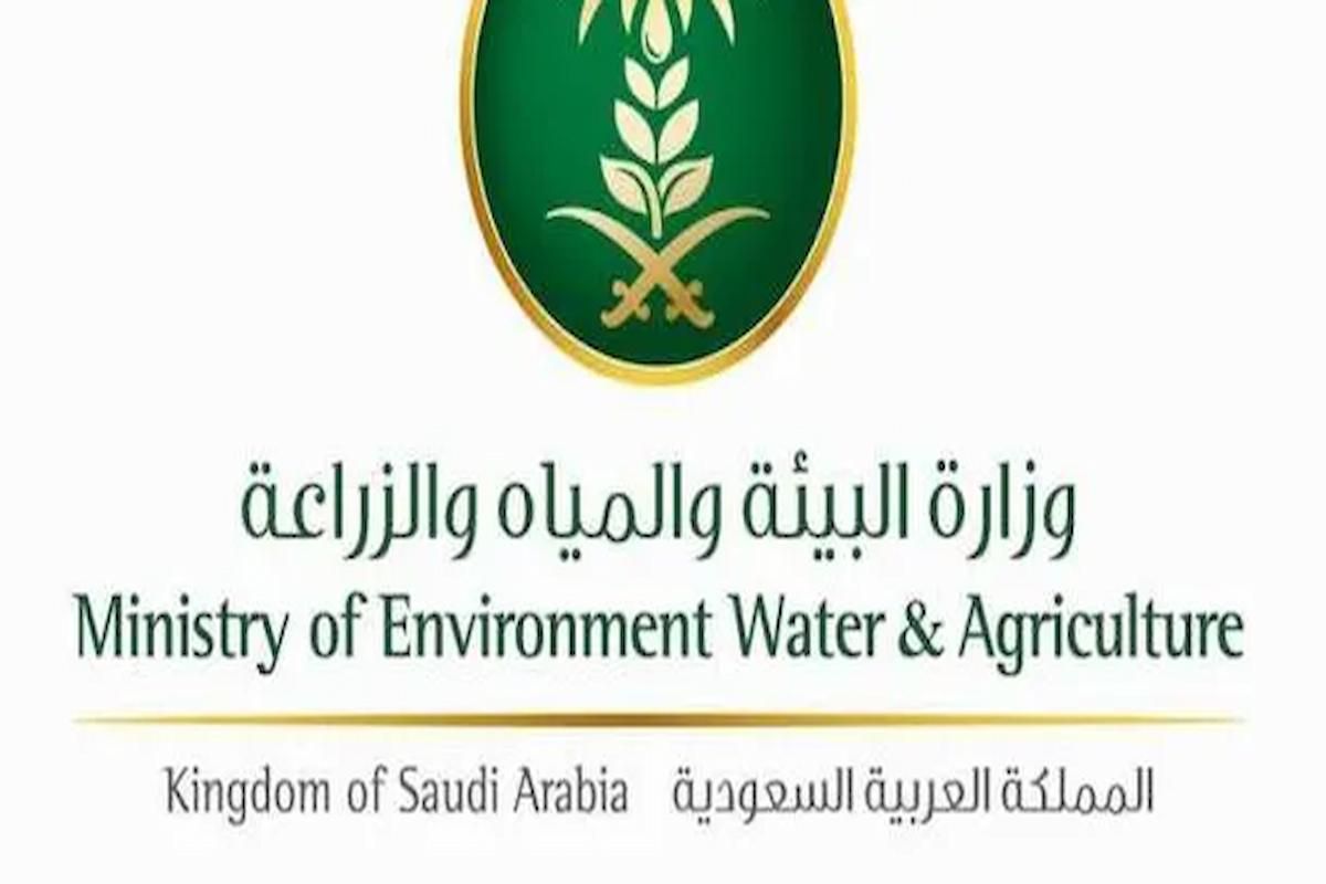 حسب وزارة البيئة والمياه والزراعة هذه الميزة النسبية للأسر المنتجة في دعم ريف - موقع الخليج الان