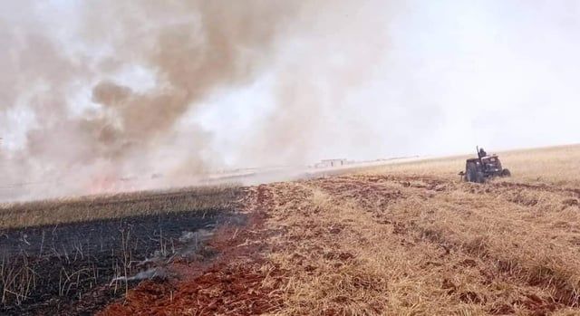 سوريا.. الحرائق تلتهم مساحات واسعة من حقول القمح (صور)