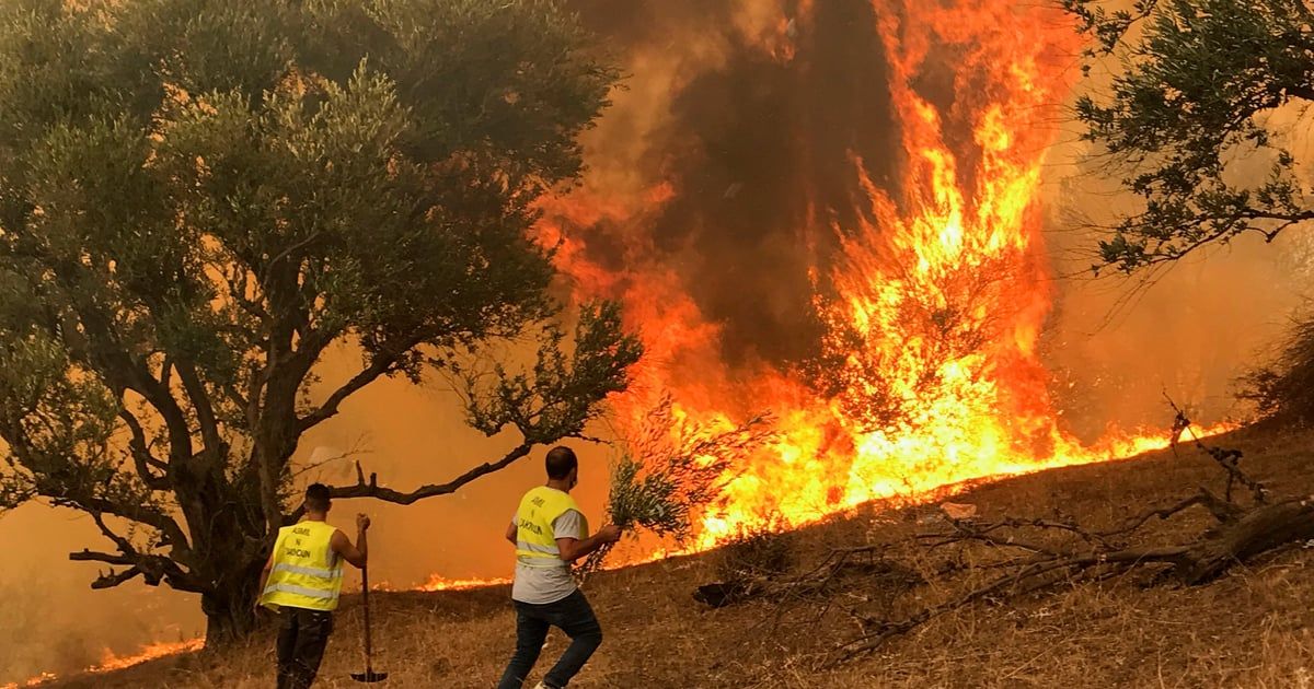 المغرب يستعين بالذكاء الاصطناعي لمواجهة حرائق الغابات