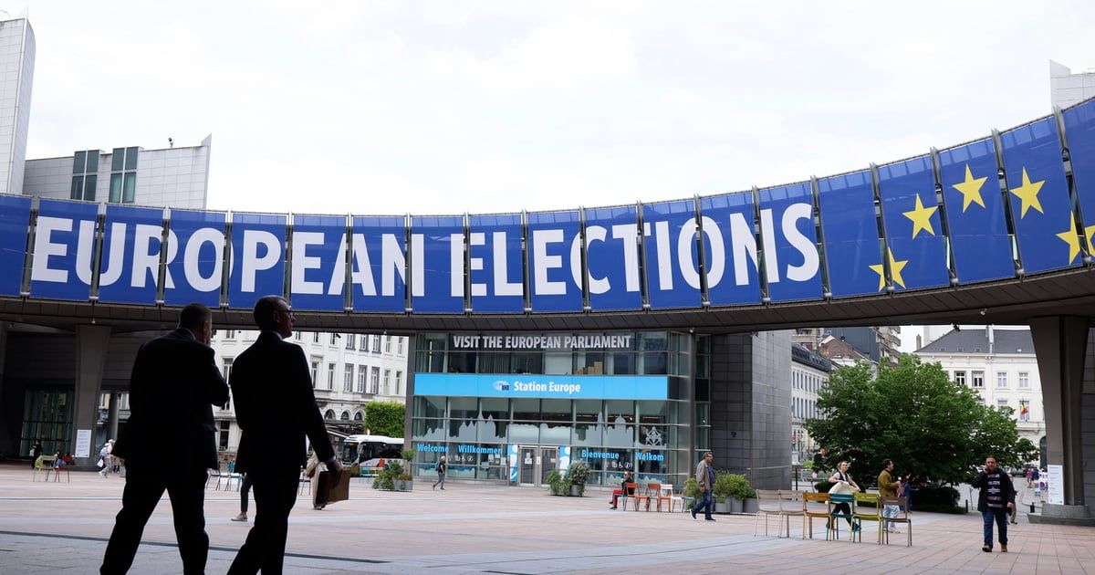 متعطل عن العمل على قائمة "حزب ماكرون" في انتخابات البرلمان الأوروبي