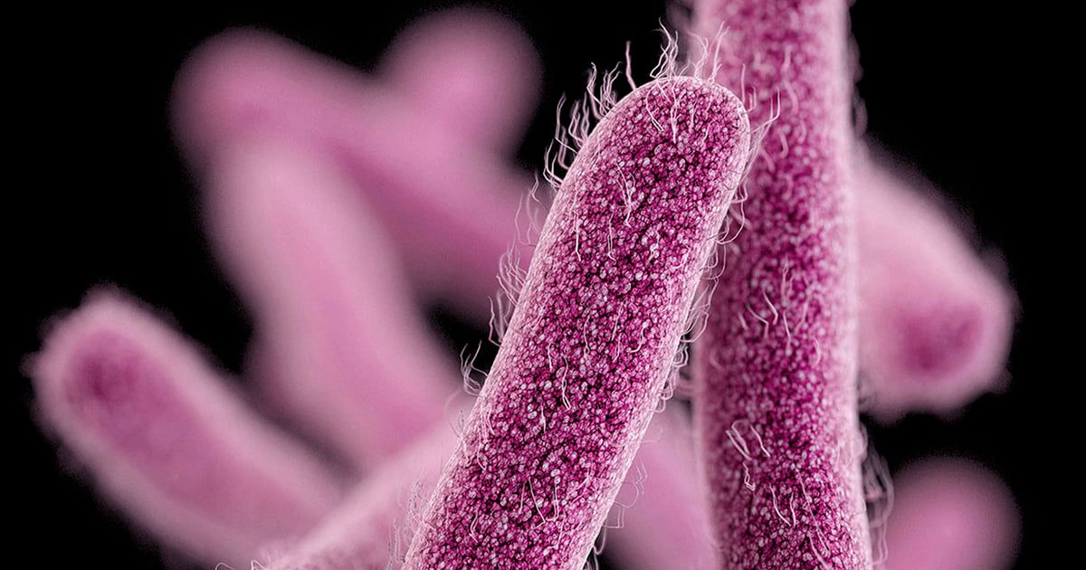 مقاومة للعلاجات.. تفشي بكتيريا "الشيغيلا" في إسرائيل