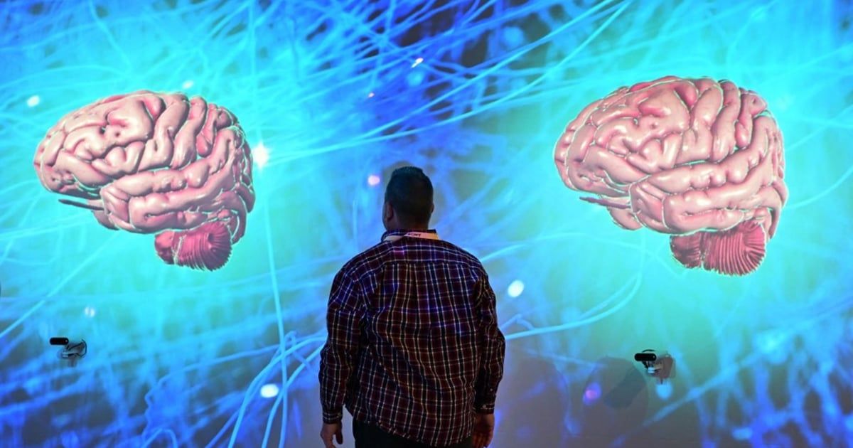 دراسة: هذه الأطعمة تحارب شيخوخة الدماغ