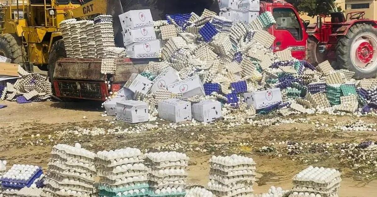 "بيض فاسد وخضار متعفنة".. مواد غذائية بطريقها لغزة تتلف تحت أشعة الشمس