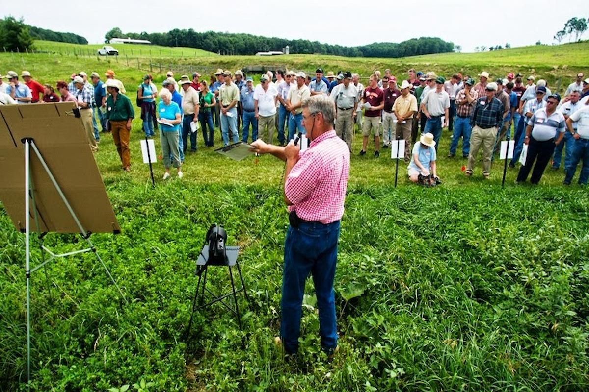 ضروري لمُربي المواشي! "الإرشاد الزراعي" يصدر تنبيهات بشأن أعلاف الماشية في موسم الأضاحي - موقع الخليج الان