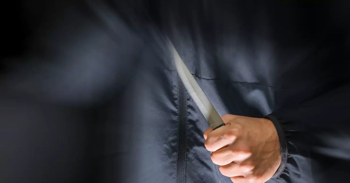 الشرطة المصرية تحبط محاولة هروب "سفاح التجمع"