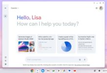 جوجل تجلب مزايا الذكاء الاصطناعي إلى كروم بوك - موقع الخليج الان
