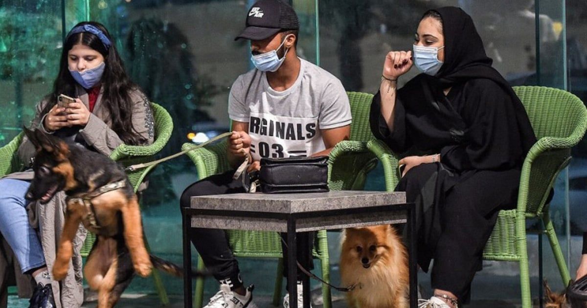 إيران تغلق "مقهى الكلاب" المثير للجدل