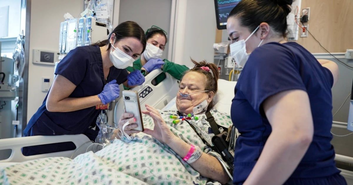 لماذا أزال الأطباء كِلية خنزير من جسم امرأة بعد أيام من زرعها؟