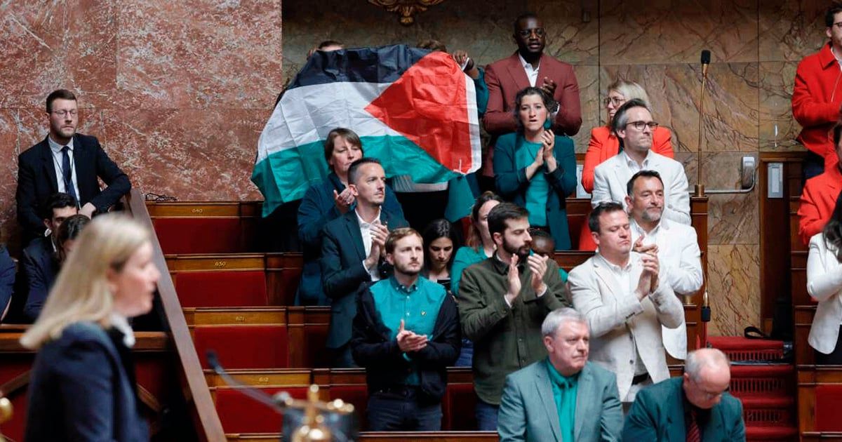 جلبة في البرلمان الفرنسي.. ابتكار طريقة فريدة لرفع العلم الفلسطيني (فيديو)