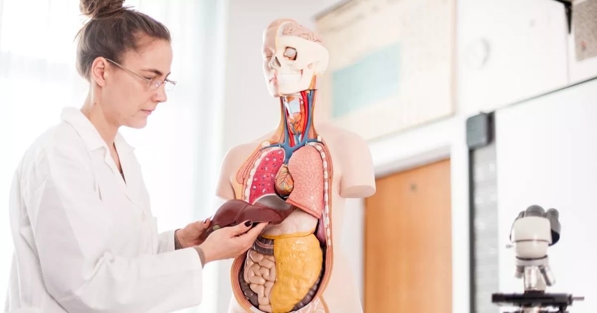 5 علامات تنذر بوجود مشكلات في الكبد