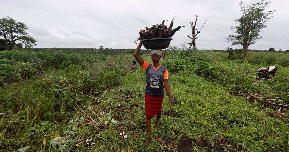 دراسة: الانتهاكات تلاحق المزارعين المهاجرين في أوروبا