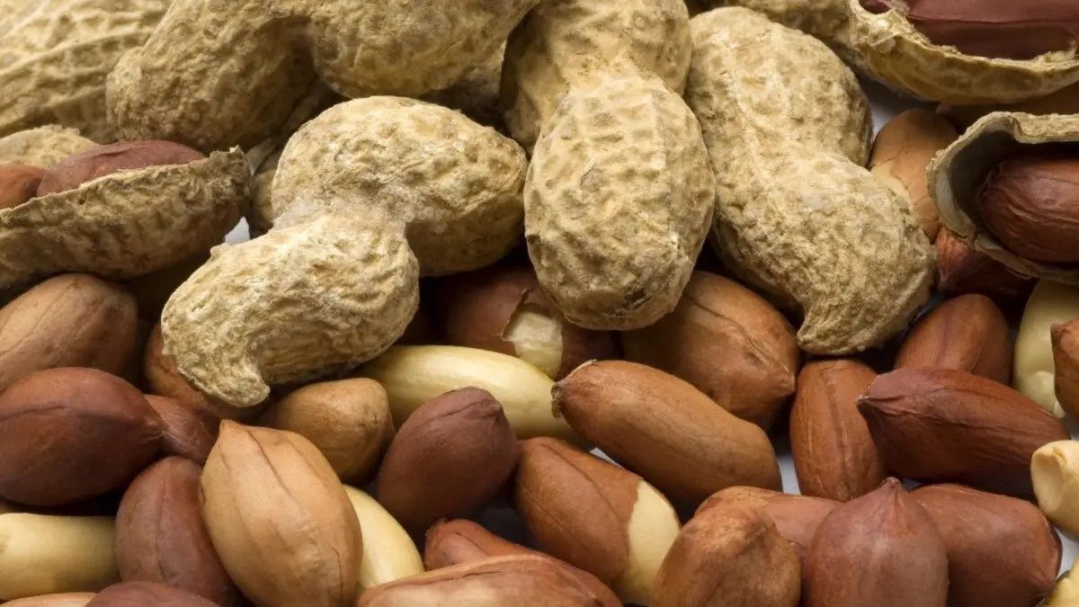 تعرف على أسوأ أنواع المكسرات التي تهدد بالوفاة وفق دراسة حديثة