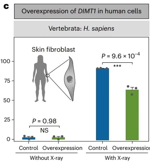 كشف علمي.. خطوة واحدة تفصل العلماء عن هزيمة الشيخوخة