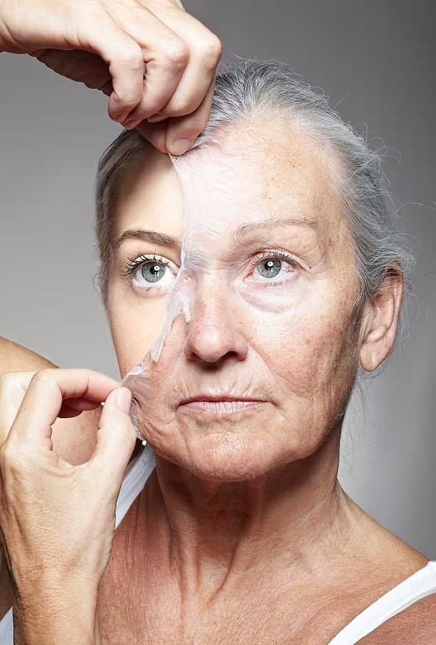 كشف علمي.. خطوة واحدة تفصل العلماء عن هزيمة الشيخوخة