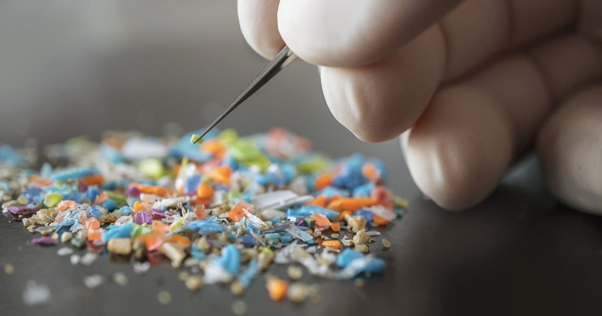 أضرار تناول ذرات البلاستيك الدقيقة تصل إلى مجرى الدم