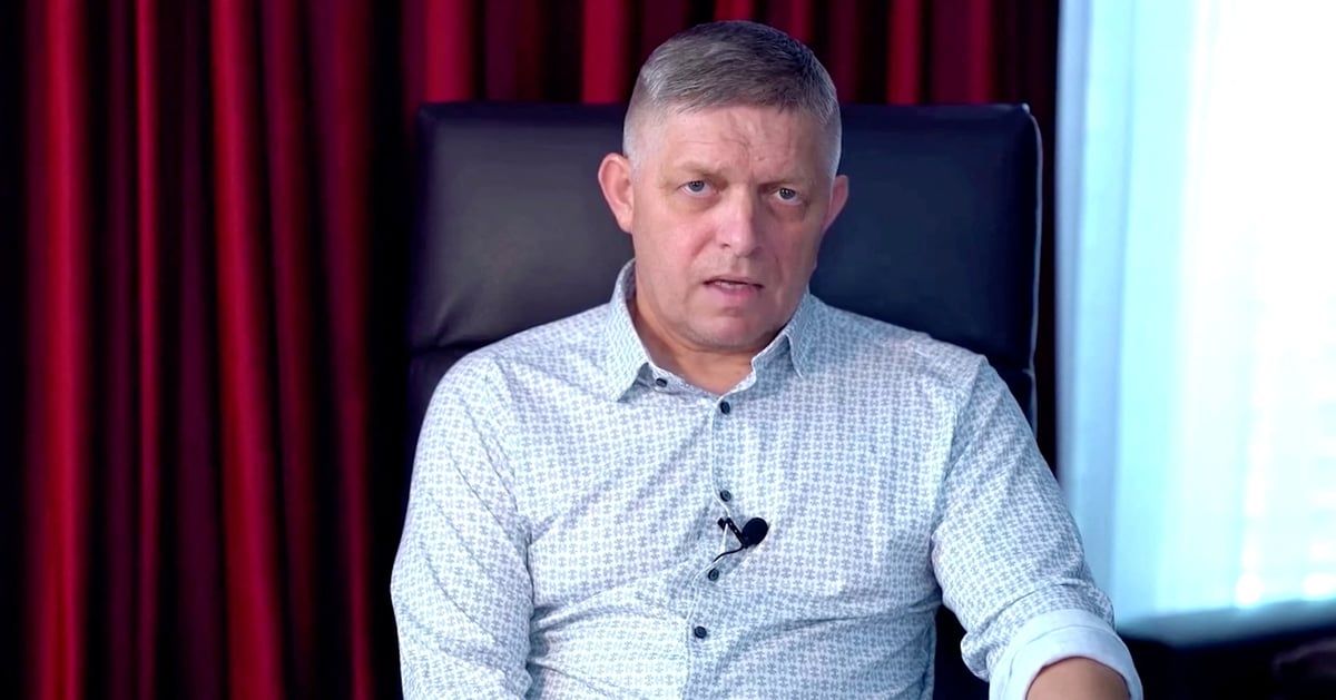 الليبراليون يحققون مفاجأة بفوزهم على حزب فيكو في الانتخابات الأوروبية