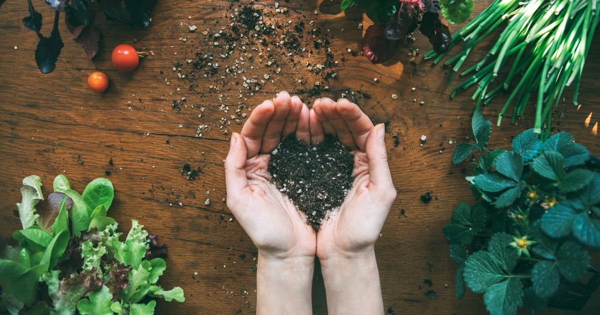 ليس البشر فقط.. النظام الغذائي الصحي يحمي الأرض أيضا