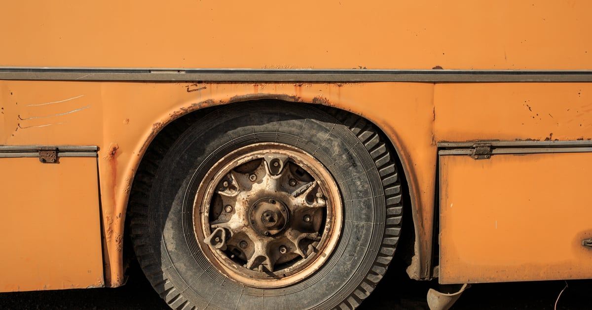 بسبب جمل.. إصابة 34 في حادث انقلاب حافلة بمصر