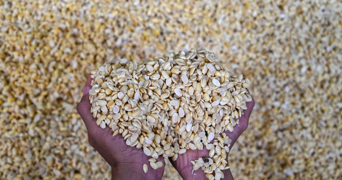 يوجد في هذه الأطعمة.. قلبك ودماغك يحتاجان لتناول "الكولين"