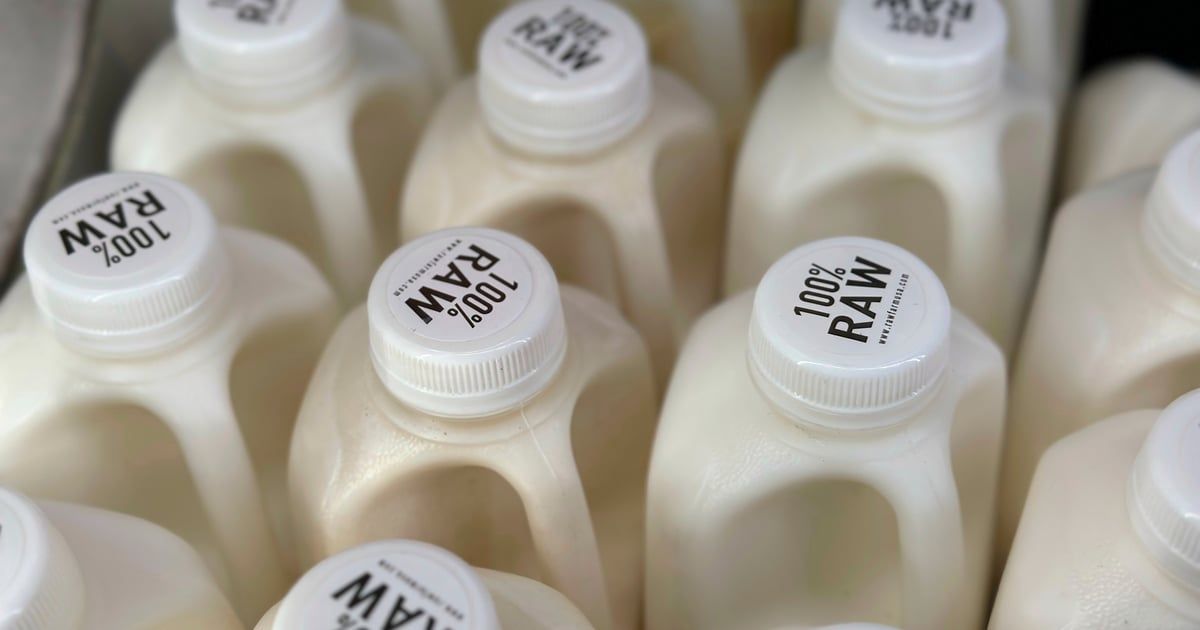 في ظل تفشي إنفلونزا الطيور.. تحذيرات من تناول الحليب الخام