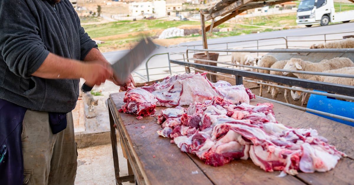 4 نصائح صحية قبل تناول اللحوم في عيد الأضحى