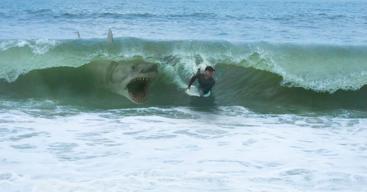 إغلاق شاطئ شهير في إسبانيا بعد هجوم سمكة قرش ضخمة (صور)